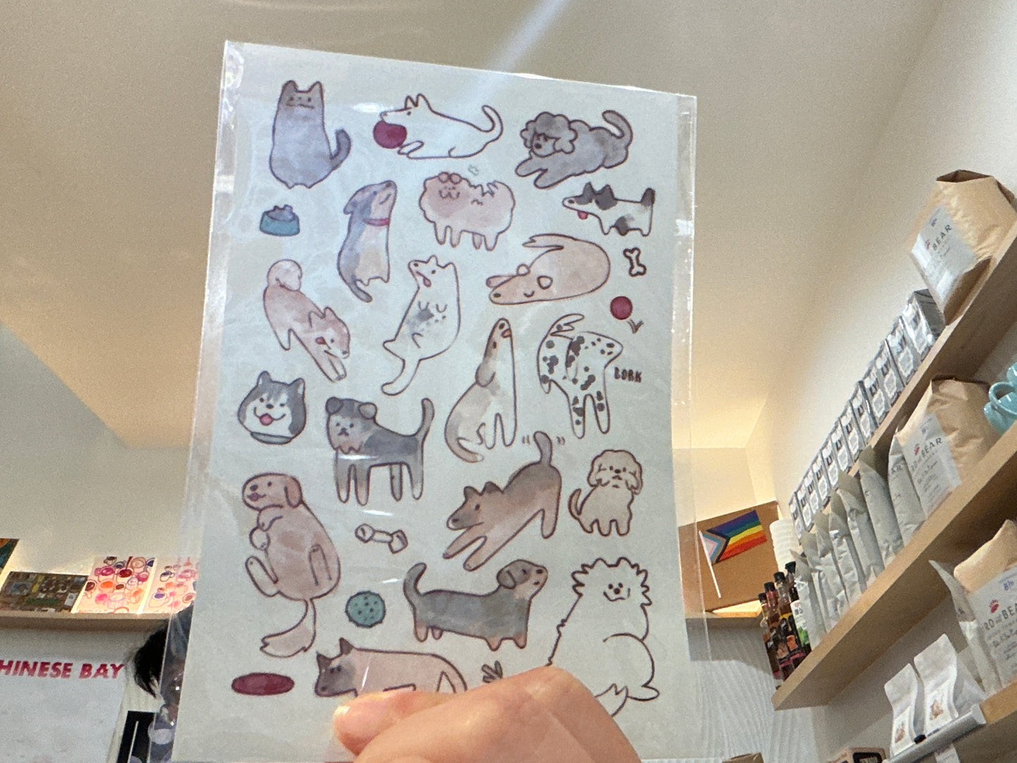 Dogs & cats sticker sheet