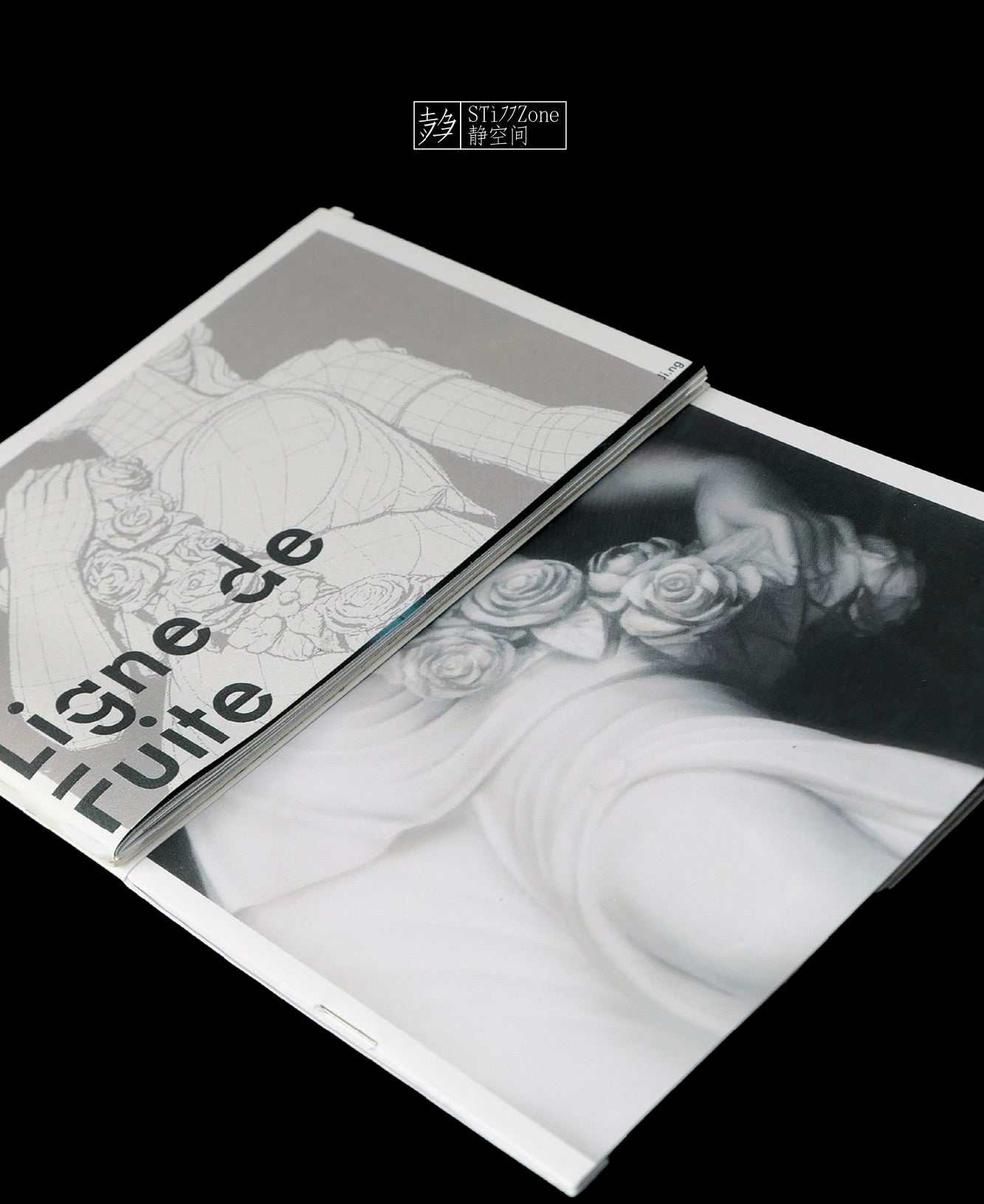 STi77Zone “Ligne de Fuite”