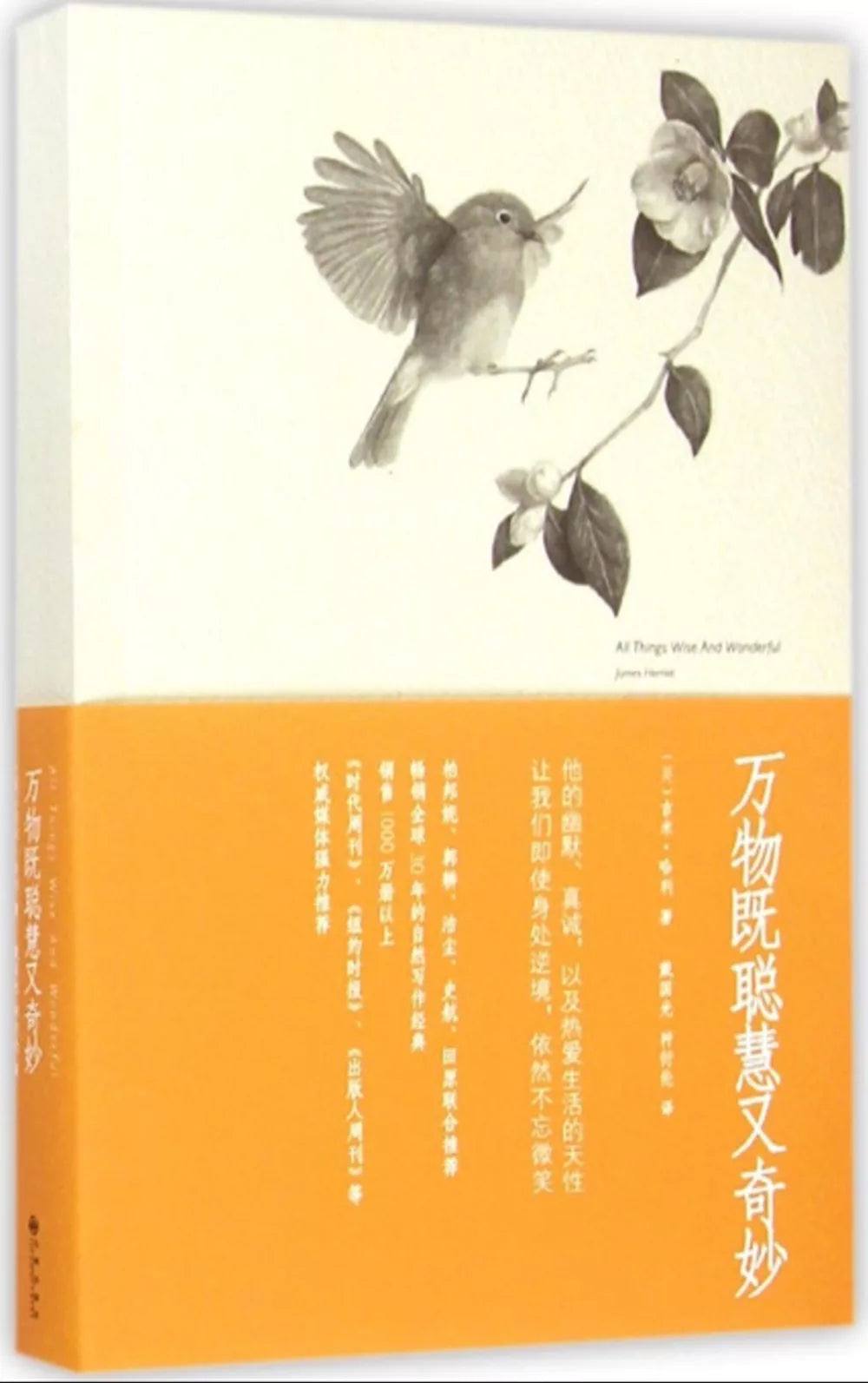 万物既聪慧又奇妙