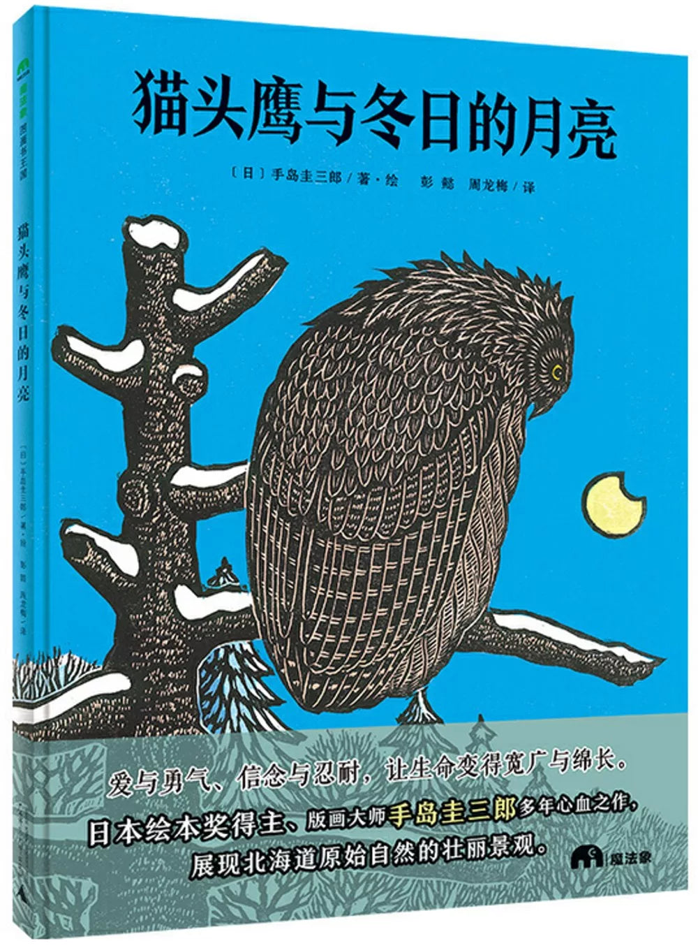 猫头鹰与冬日的月亮