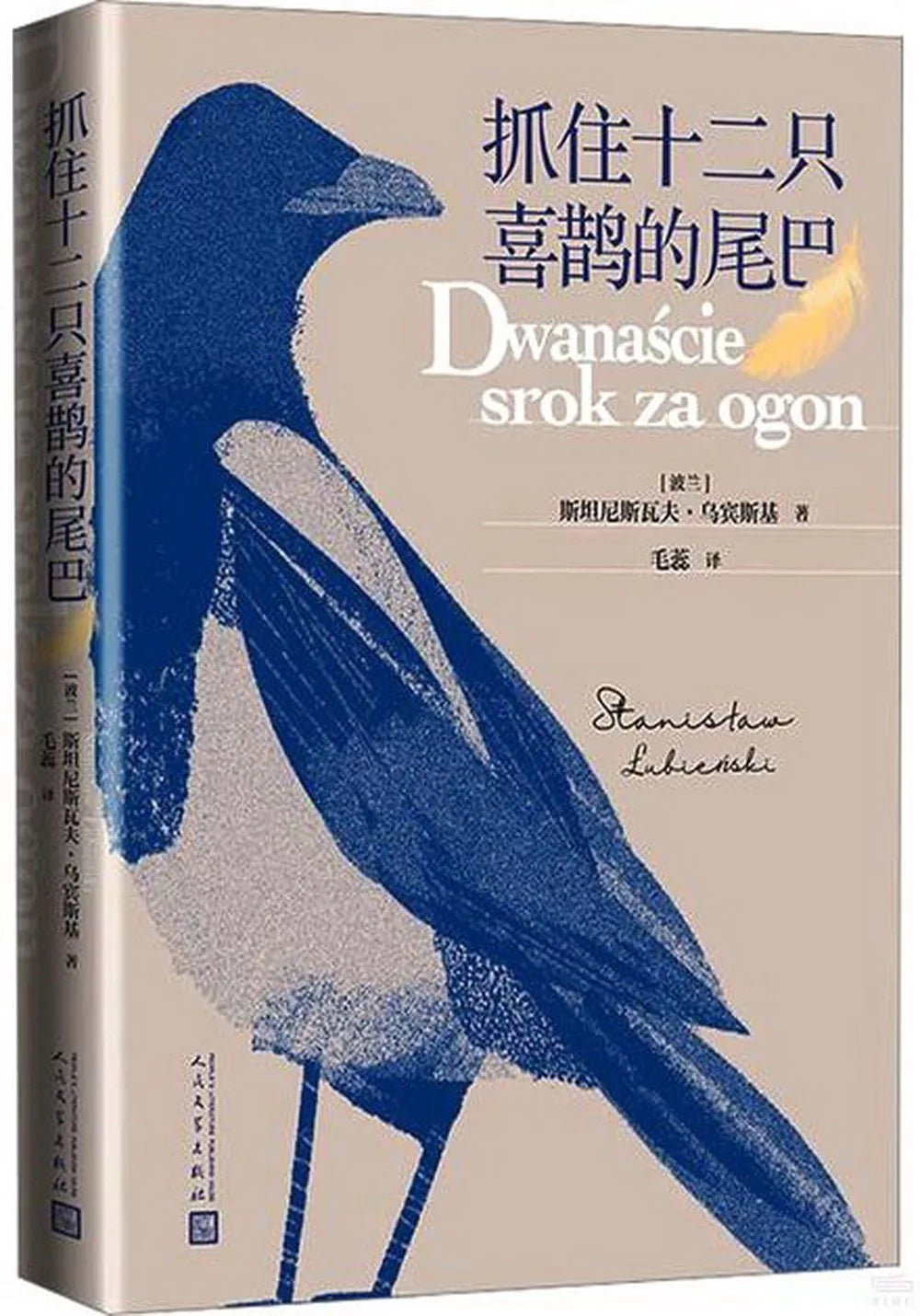 抓住十二只喜鹊的尾巴