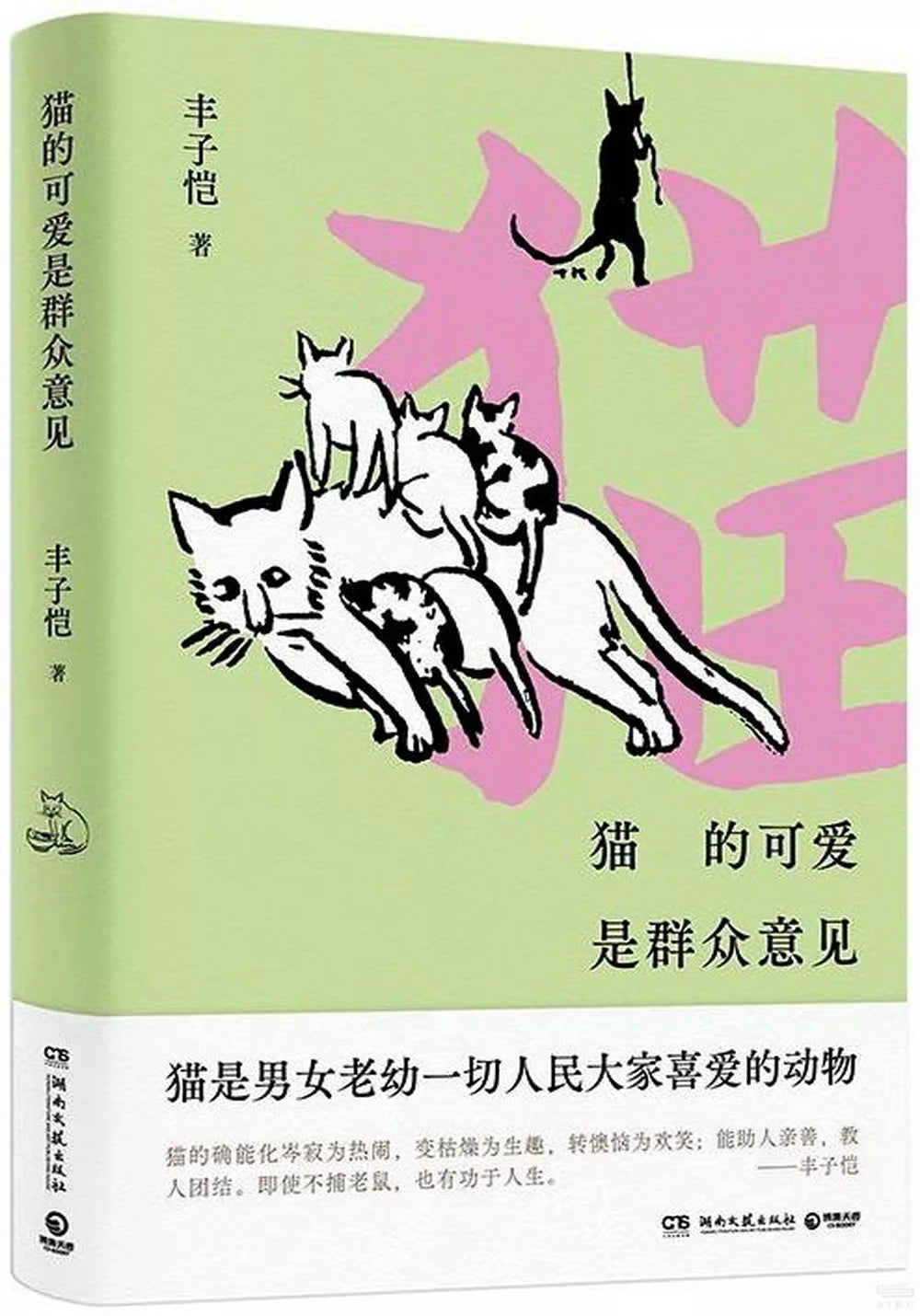 猫的可爱是群众意见