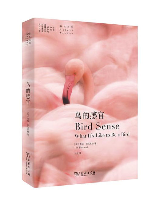 Bird's senses
