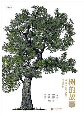 树的故事