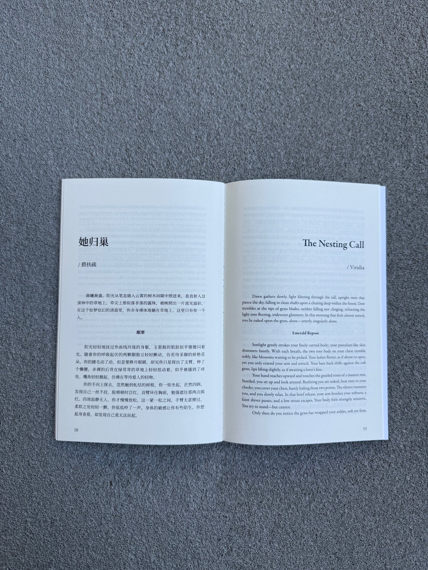 Nesting Call (她归巢) - Anonymous Erotica vol.1