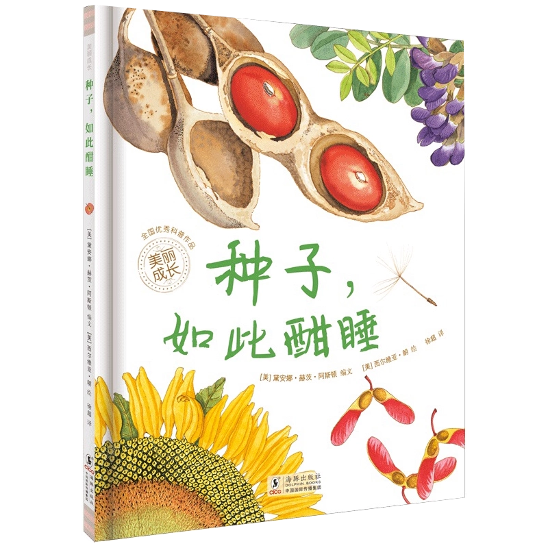 种子，如此酣睡