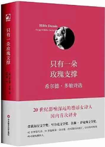 只有一朵玫瑰支撑