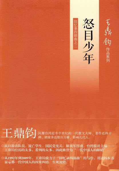 怒目少年