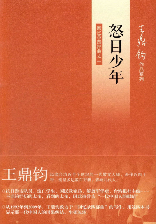 怒目少年