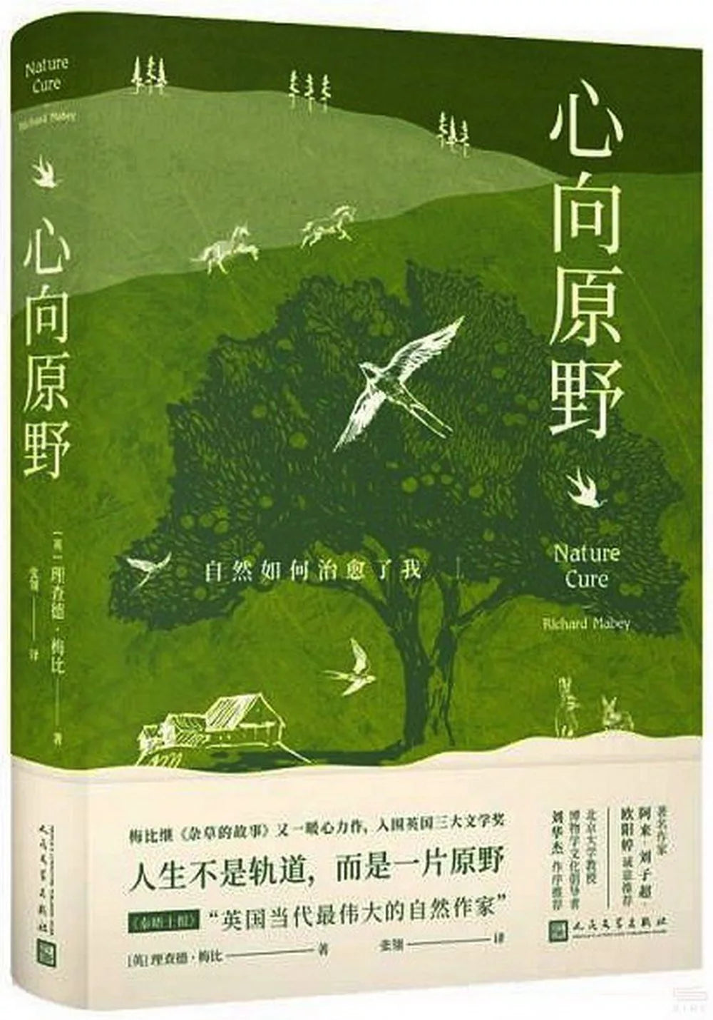 心向原野