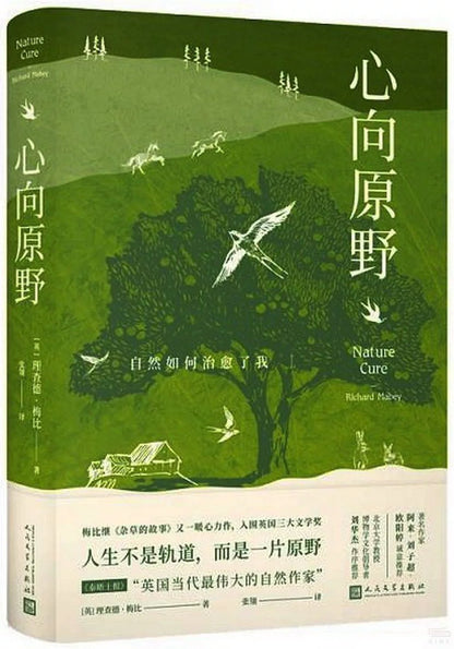心向原野
