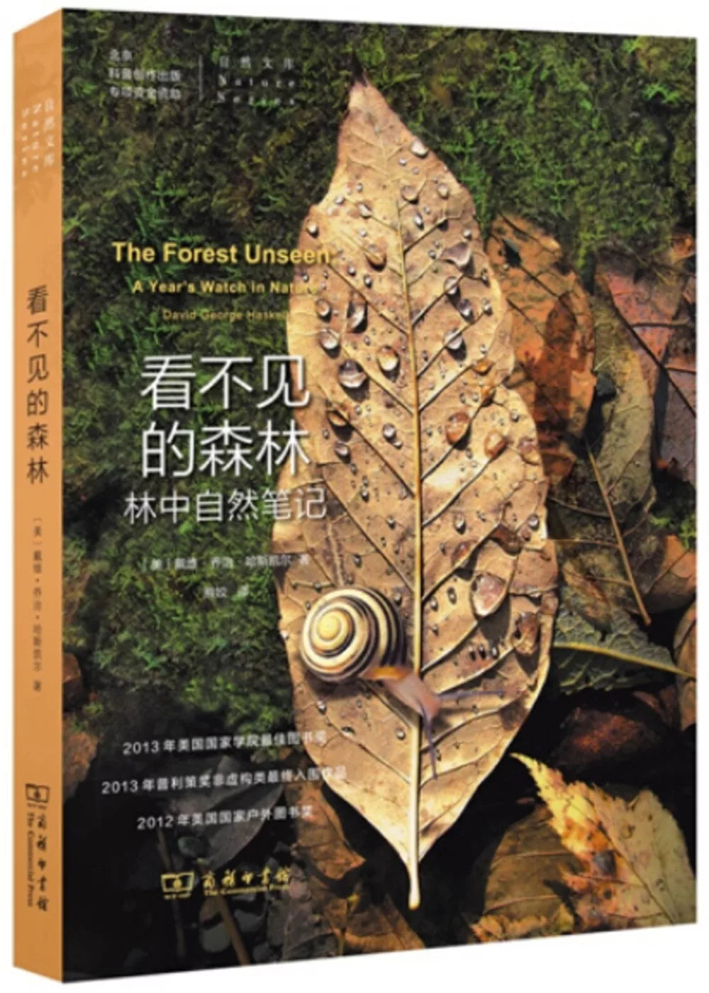 看不见的森林