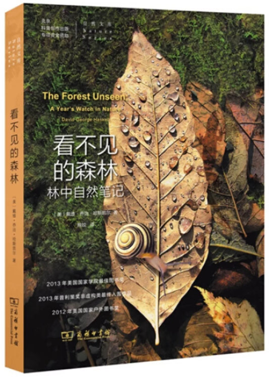 看不见的森林