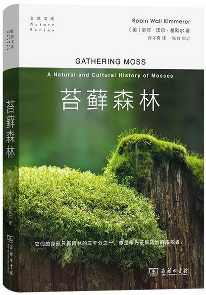 苔藓森林
