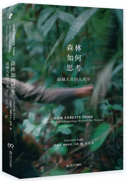 森林如何思考