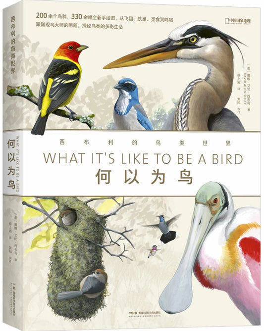 何以为鸟