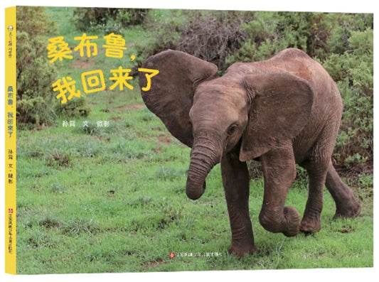 桑布鲁，我回来了