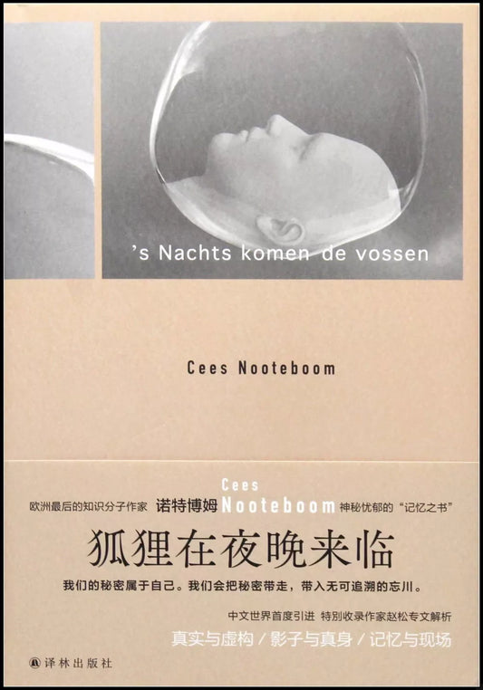狐狸在夜晚来临