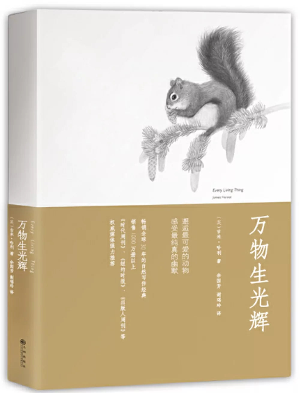 万物生光辉