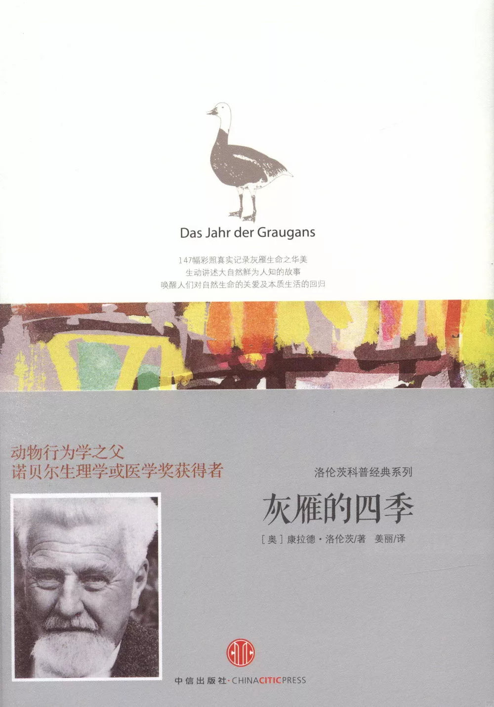 灰雁的四季