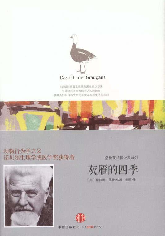 灰雁的四季